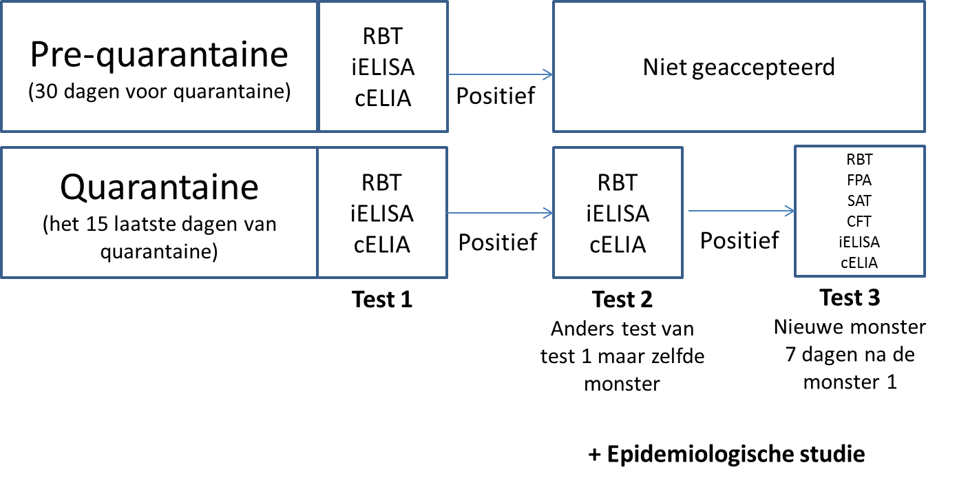 Figuur 1: schematische toelatingsprotocol in KI met betrekking tot Brucella suis.